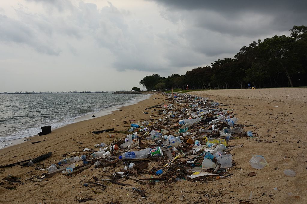 Odpad vyplavený z pacifického odpadového pása