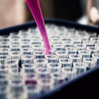 Prevratná metóda mení vyšetrovanie trestných činov, využíva genetický rodokmeň páchateľa