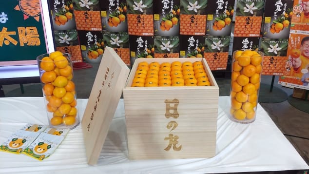 Kus za 80 eur. Prečo sú japonské mandarinky extrémne drahé?