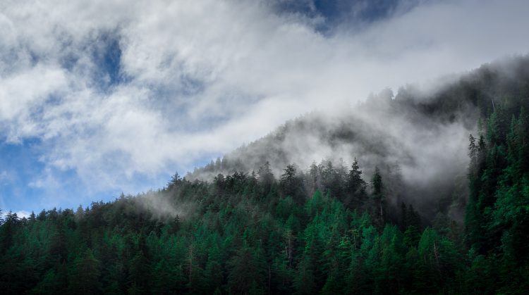 Haida Gwaii