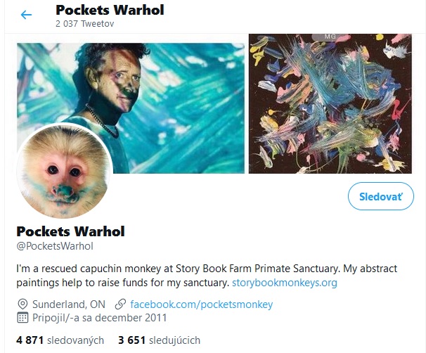 pockets warhol