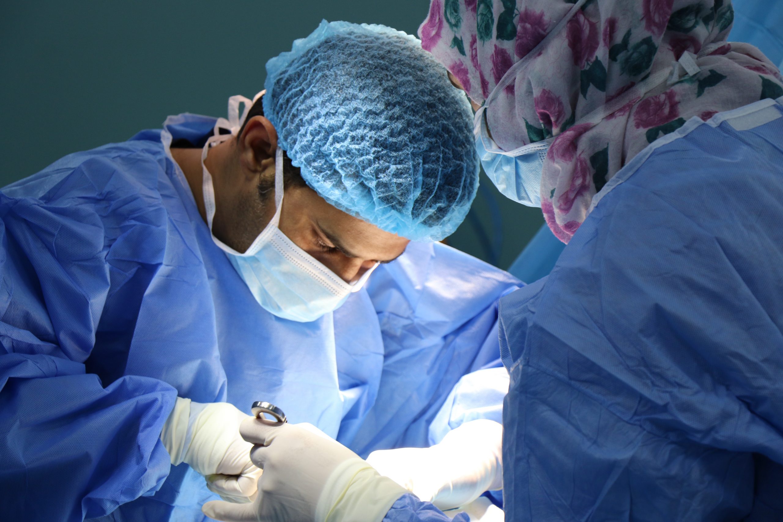 Mohla by xenotransplantácia zachraňovať ľudské životy?