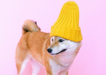 trendy posledného desaťročia
