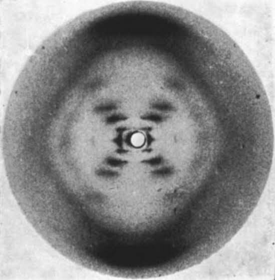 Rosalind Franklin