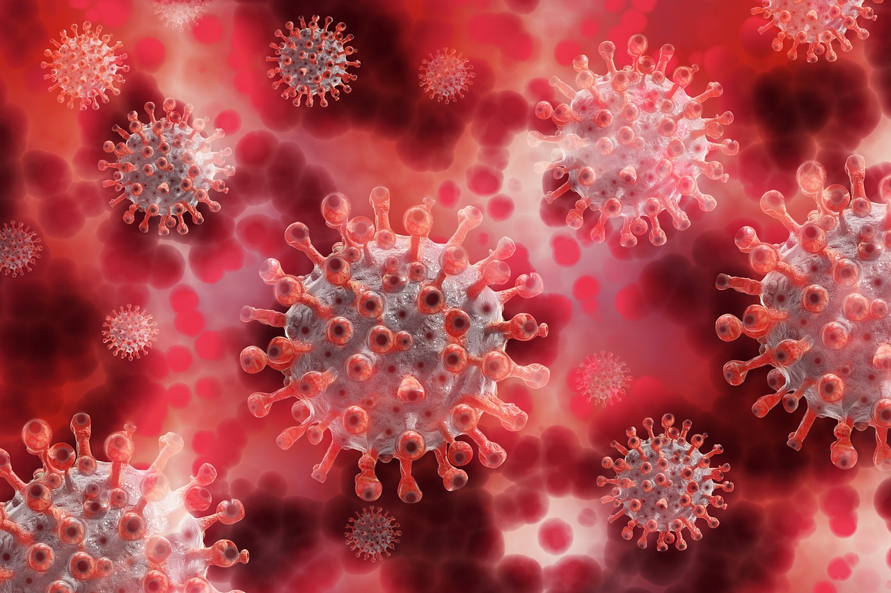 Aktuálne: nový vírus Omicron vyvoláva u vedcov obavy. Čo by sme o ňom mali vedieť?