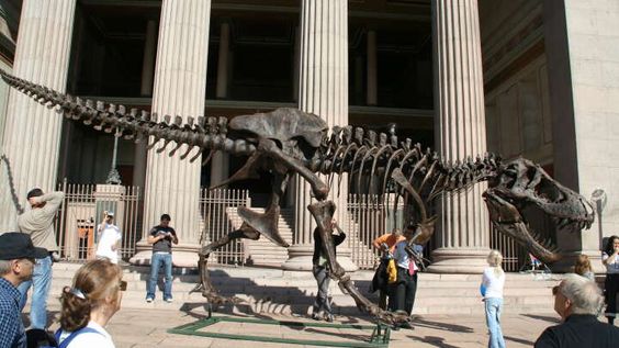 tyranosaurus