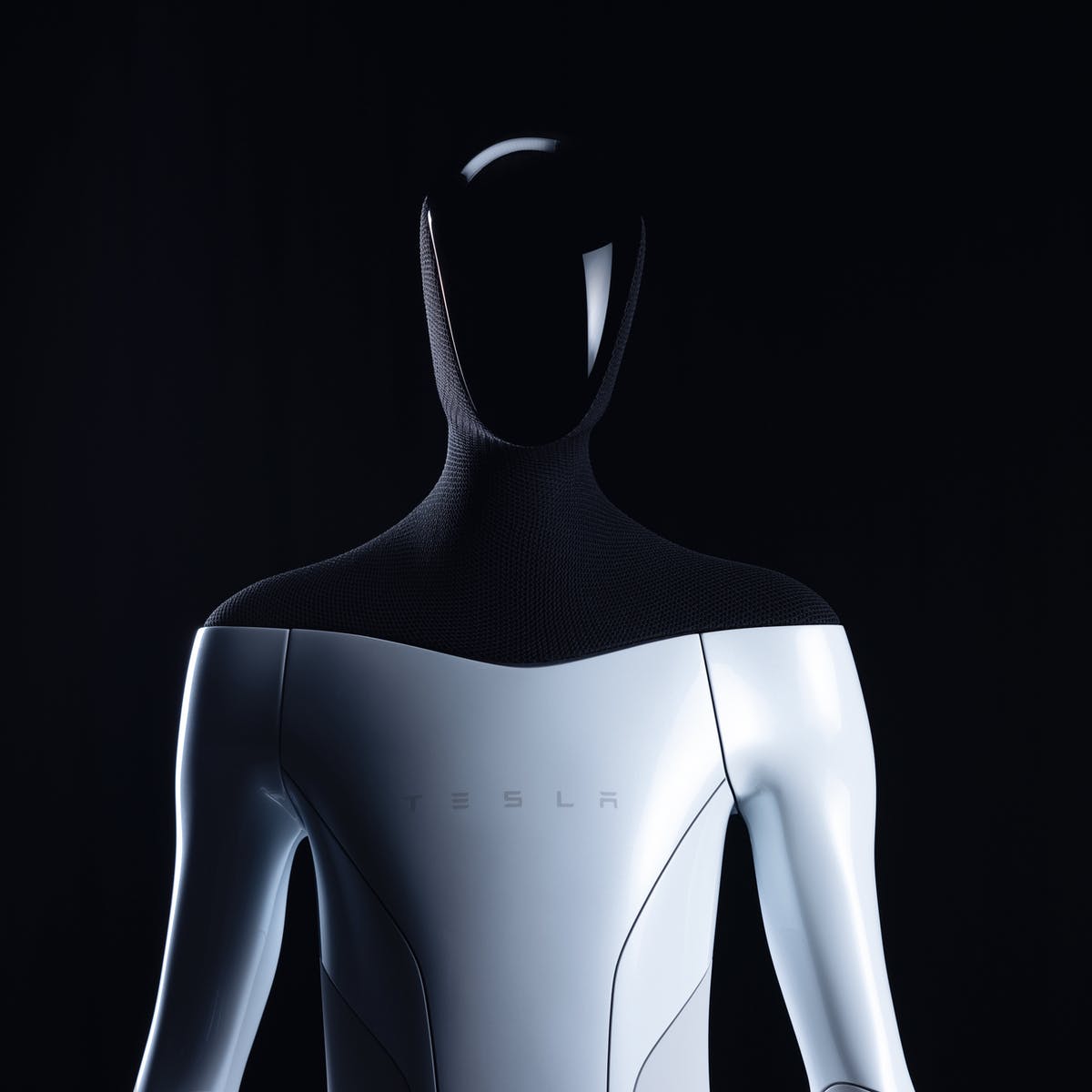V roku 2023 by sa mal začať vyrábať humanoid od Tesly