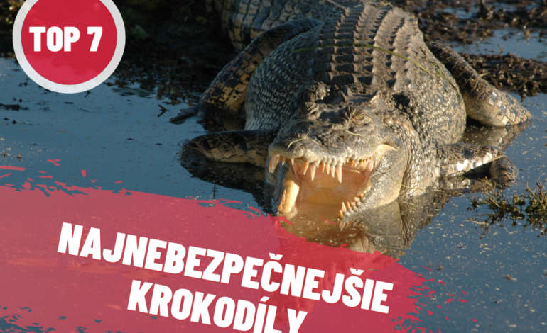 7 monštruóznych krokodílov, ktoré sú pre ľudí najnebezpečnejšie