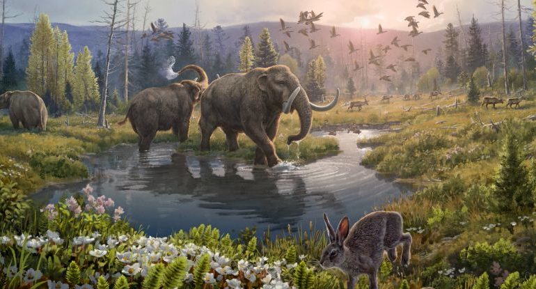 Nedávny výskum poukazuje na obnoviteľnú environmentálnu DNA. Siaha až do obdobia pred 2 miliónmi rokov