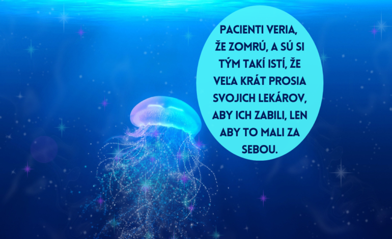 Najnebezpečnejšie medúzy sveta vás zlikvidujú fyzicky aj psychicky